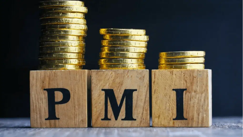 Wooden Blocks depicting PMI