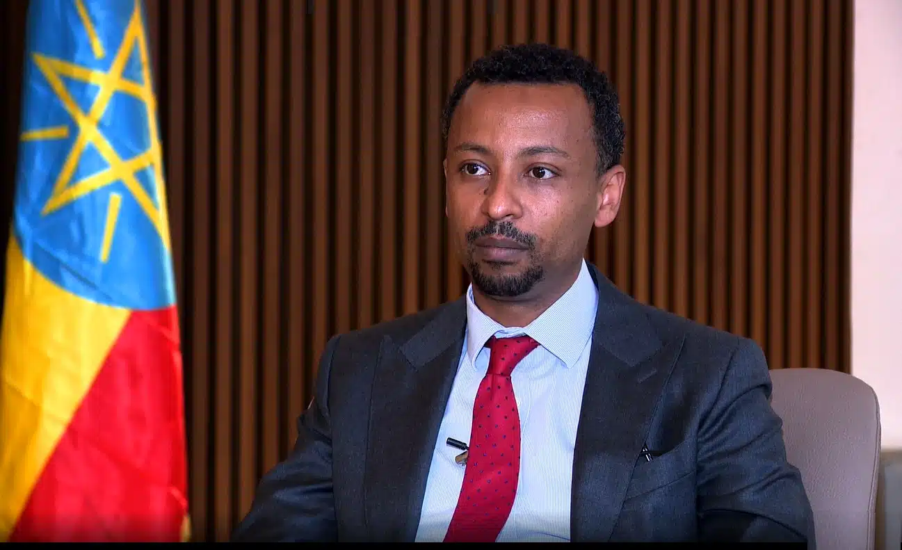 Image of Ethiopia Taye Brooks, CEO of Ethiopian Investment Holdings (EIH).