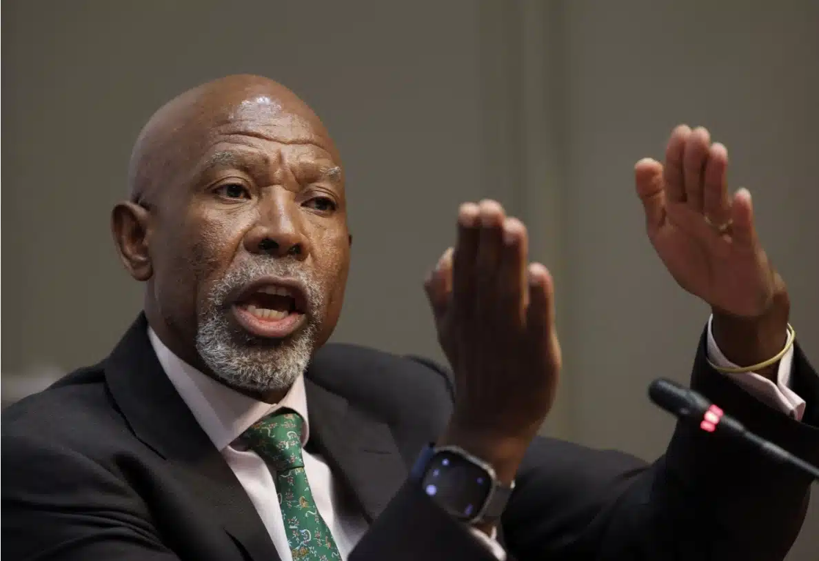 Lesetja Kganyago, Governor of the South African Reserve Bank (SARB).